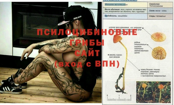 мяу мяу кристалл Волосово