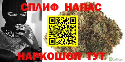 дмт Канаш