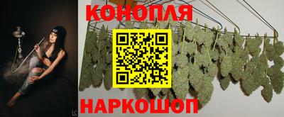 каннабис Камышлов