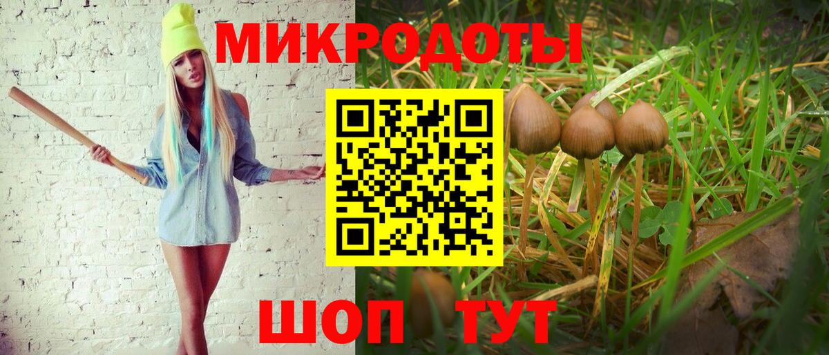 Псилоцибиновые грибы мухоморы Можга