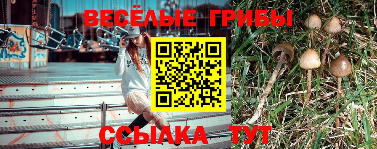 MDMA  МЕФ кристаллы  APVP СК кристаллы  Экстази  ГАШ  Можга  Меф МЯУ МЯУ кристаллы 