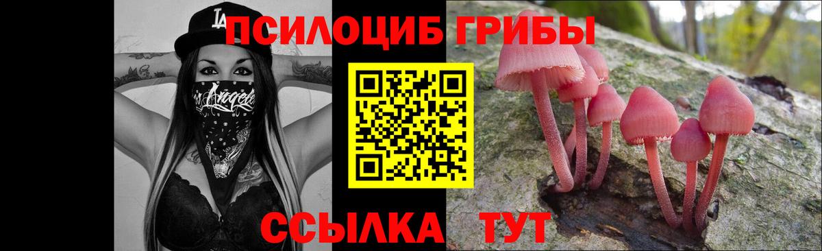 Псилоцибиновые грибы мицелий  Можга  Псилоцибиновые грибы мицелий 