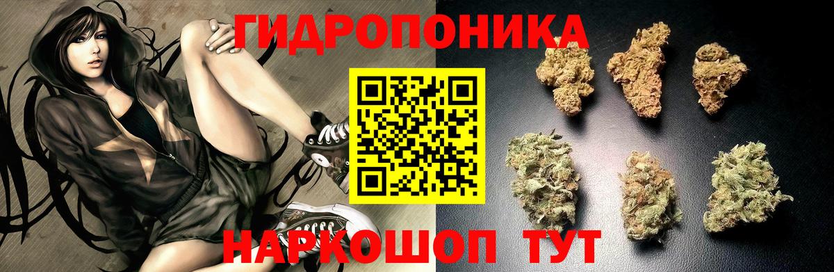 Канабис планчик  Марихуана гибрид  Можга  Вход с VPN 